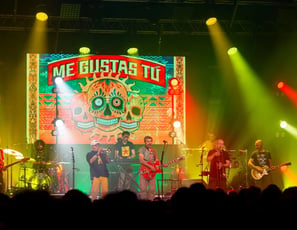Me Gusta tu tribute Manu Chao