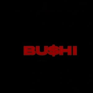 Bushi