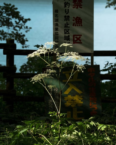 Hideki Umezawa