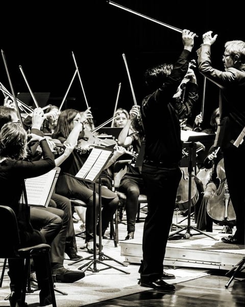 Orchestre Symphonique des Alpes