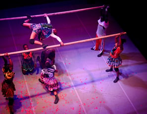 Circus Baobab
