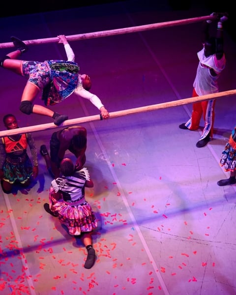 Circus Baobab