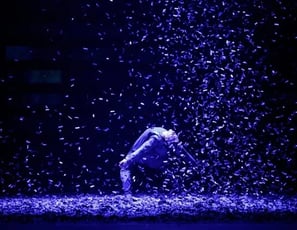 Ballet National De Pologne