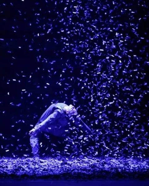 Ballet National De Pologne