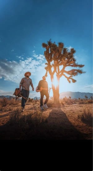 Franck et Damien, Blues, Folk rock, country roots