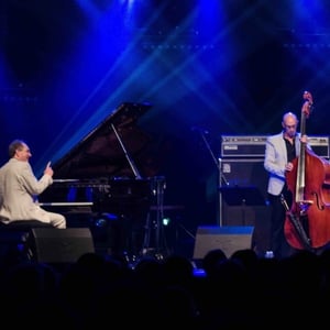 Antoine Hervier Trio feat Costel Nitescu