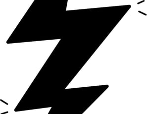 roi zizo