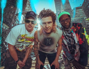 Too Many Zooz