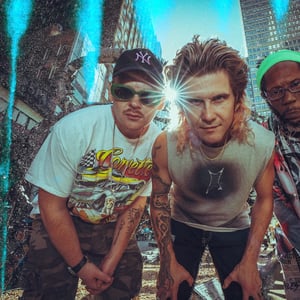 Too Many Zooz