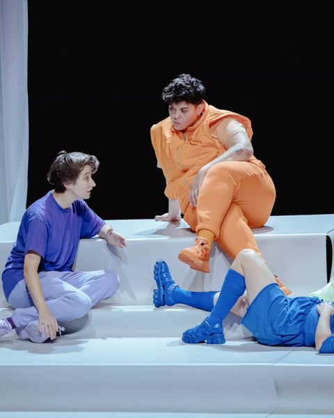 Compagnie Mauvais Garçon