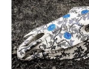 Jeanne Flesch
