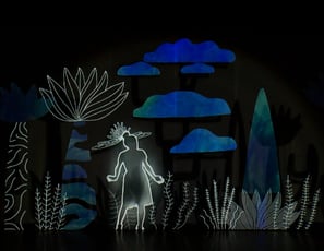 Compagnie conte en ombres