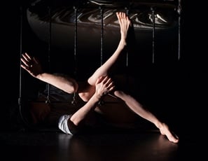 Compagnie L'Insomnante