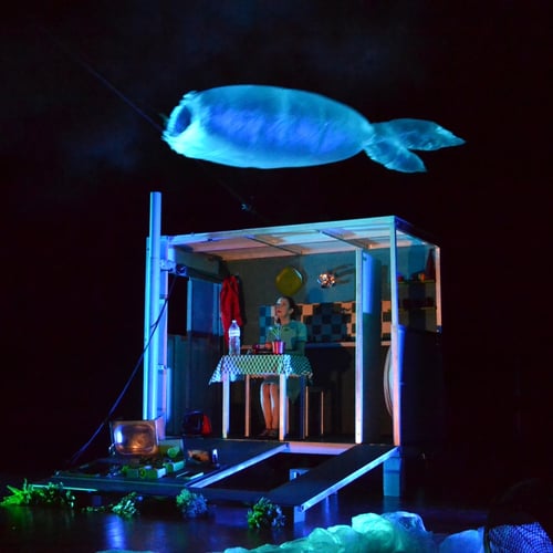 spectacle De la nécessité de la Gravité