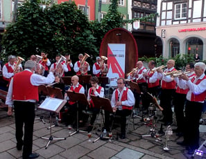 Ensemble Musical d'Rhinwagges